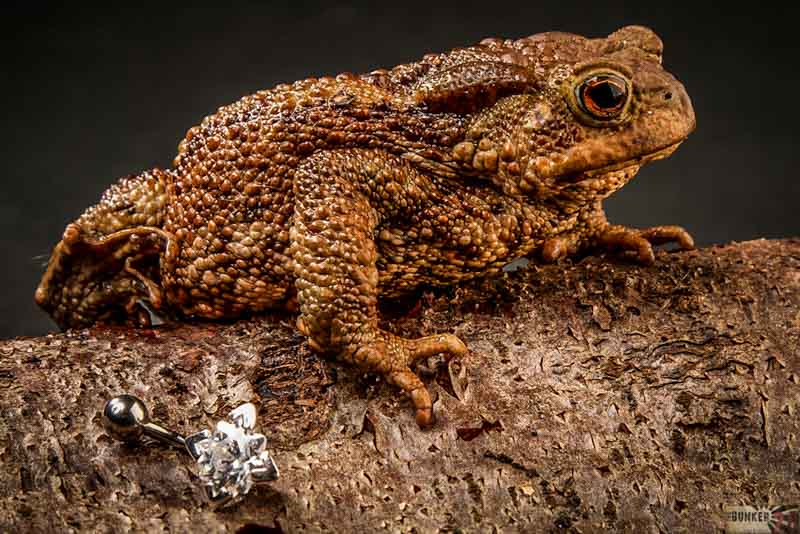 Produktfotos 2 Produktfotograf Dortmund WP